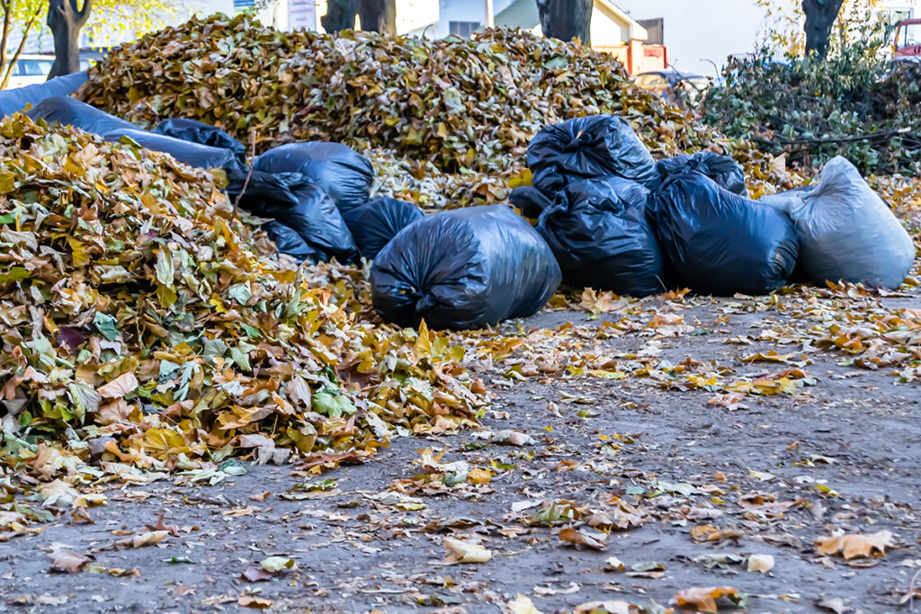 BAGS OF LEAVES